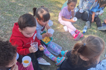 Foto - final de bimestre das Escolas e Creche 