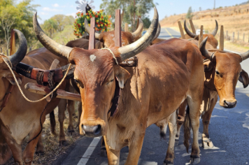 Foto - 6ª Cavalgada Beneficente ao Natal