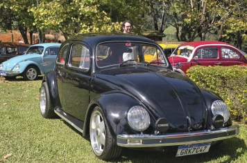 Foto - 2º Encontro de Carros Antigos