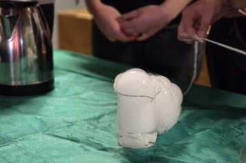 Foto - Feira José Gomes