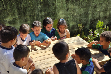 Foto - Jardim Sensorial da Pré-Escola Municipal Luzia Sanches Diniz