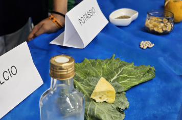 Foto - Feira do Corpo Humano