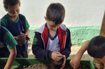 Foto - Plantio de Sementes (Dia da Árvore | Pré-Escola M. Luzia Sanches Diniz)