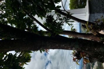 Foto - Viagem do Grupo Amor à Vida para Serra Negra