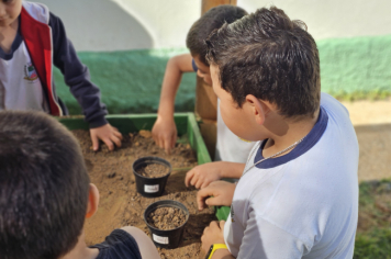 Foto - Plantio de Sementes (Dia da Árvore | Pré-Escola M. Luzia Sanches Diniz)