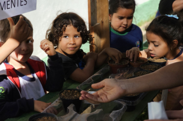 Foto - Plantio de Sementes (Dia da Árvore | Pré-Escola M. Luzia Sanches Diniz)