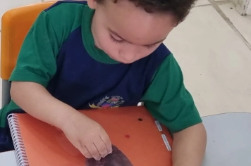 Foto - Mês da Consciência Negra Creche Tereza Rossi