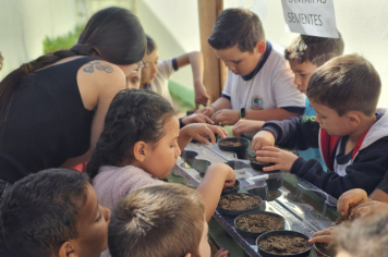 Foto - Plantio de Sementes (Dia da Árvore | Pré-Escola M. Luzia Sanches Diniz)