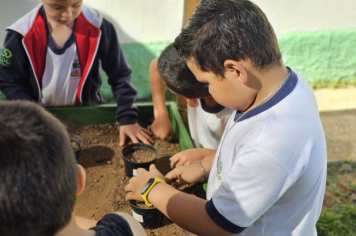 Foto - Plantio de Sementes (Dia da Árvore | Pré-Escola M. Luzia Sanches Diniz)