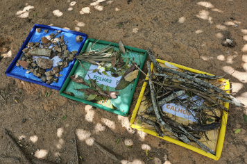 Foto - Novos Materiais Pedagógicos Transformam a Educação em Albertina