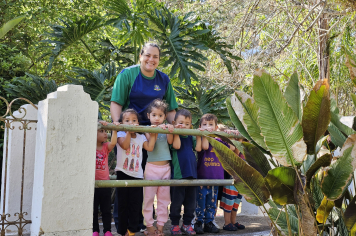 Foto - Material Pedagógica (Creche)