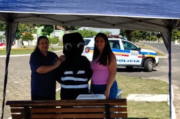 Foto - Dia D Contra a Dengue em Albertina