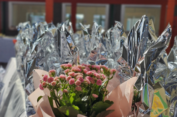 Foto - Professores da rede municipal de Albertina recebem Chromebooks para uso pedagógico