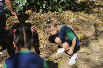 Foto - Novos Materiais Pedagógicos Transformam a Educação em Albertina