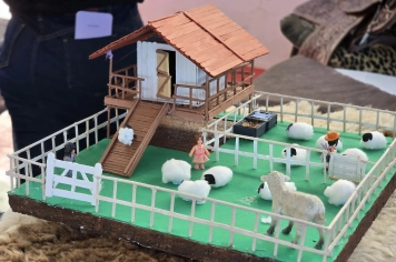 Foto - Feira José Gomes