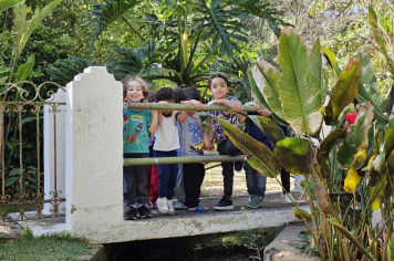Foto - Material Pedagógica (Creche)