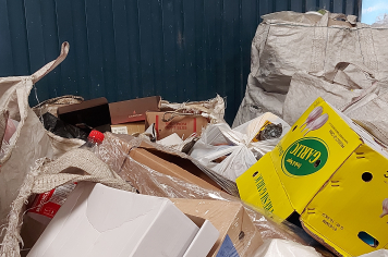 Foto - Primeiro Dia da Coleta Seletiva em Albertina!