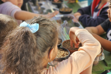 Foto - Plantio de Sementes (Dia da Árvore | Pré-Escola M. Luzia Sanches Diniz)