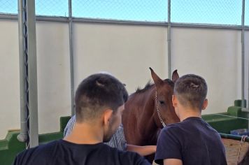 Foto - Feira José Gomes