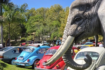Foto - 2º Encontro de Carros Antigos