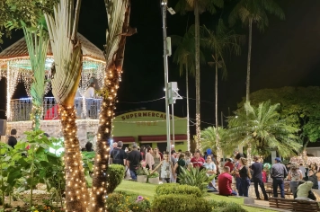 Foto - Decoração de Natal Albertina de Luz 2025
