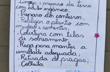 Foto - Horta dos Alunos da Escola Antonio Ferreira 