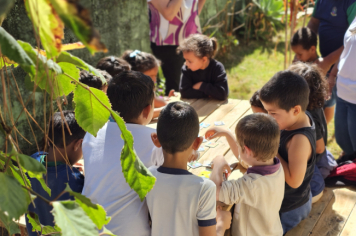 Foto - Jardim Sensorial da Pré-Escola Municipal Luzia Sanches Diniz