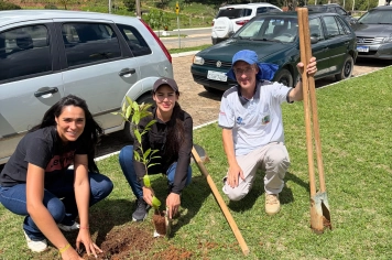 Foto - início do Projeto de Arborização Urbana