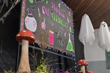 Foto - Feira José Gomes