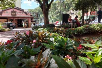 Foto - Viagem do Grupo Amor à Vida para Serra Negra