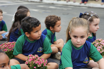 Foto - Desfile Cívico de 7 de Setembro