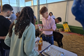 Foto - Feira José Gomes