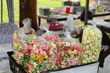 Foto relacionada - Tardezinha no Lago aquece Albertina e abre caminho para o Carnaval