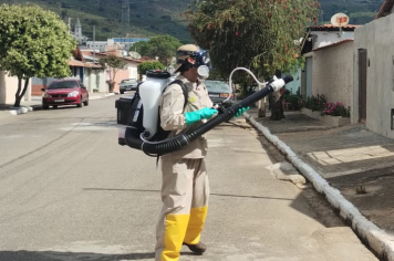 Albertina Intensifica o Combate à Dengue com Aplicação do UBV Costal