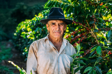 Encontro de Produtores Rurais de Albertina: Fortalecendo o Agro e Criando Novas Oportunidades