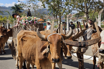 6ª Cavalgada Beneficente ao Natal reúne milhares de pessoas em um grande encontro de tradição e solidariedade em Albertina