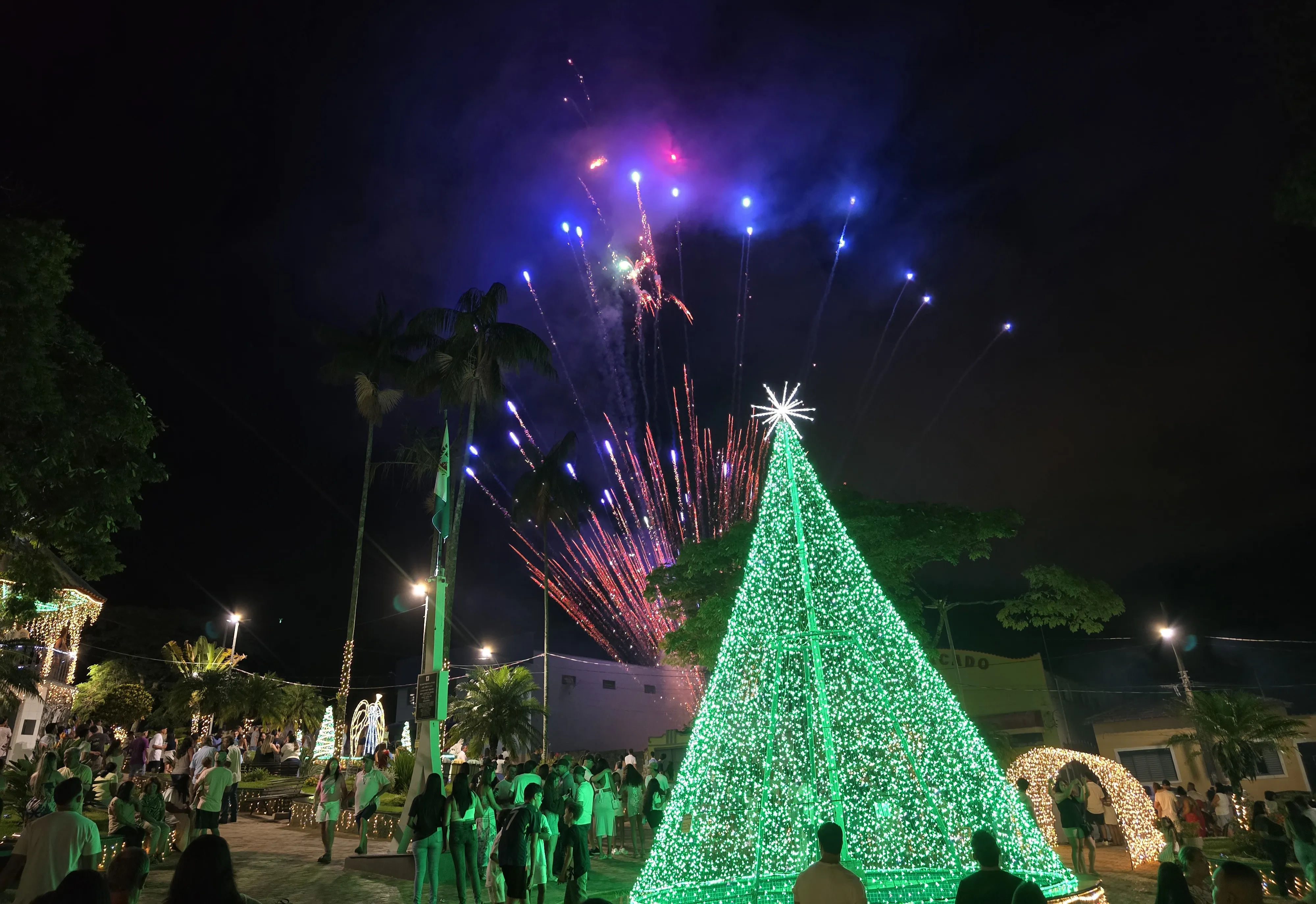 Albertina Brilha na Virada: Réveillon Reúne Famílias, Música e Muita Alegria Para Celebrar 2026