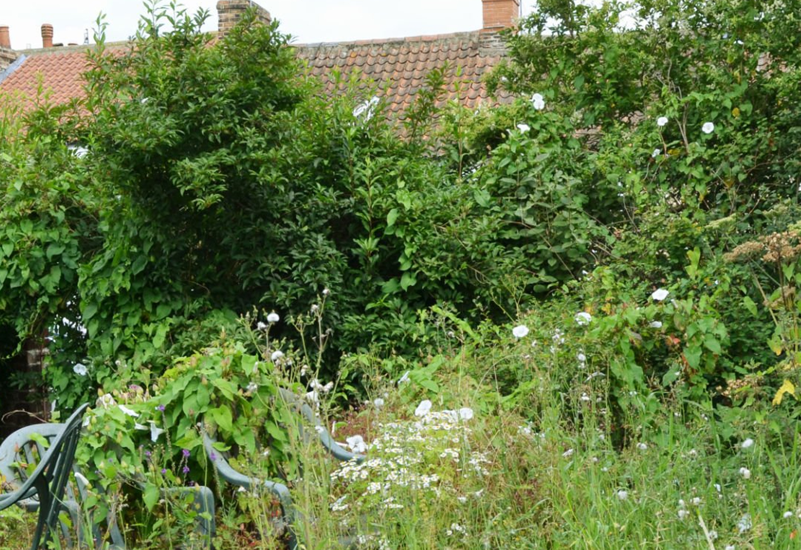 Prefeitura de Albertina notifica proprietários para limpeza de terrenos baldios