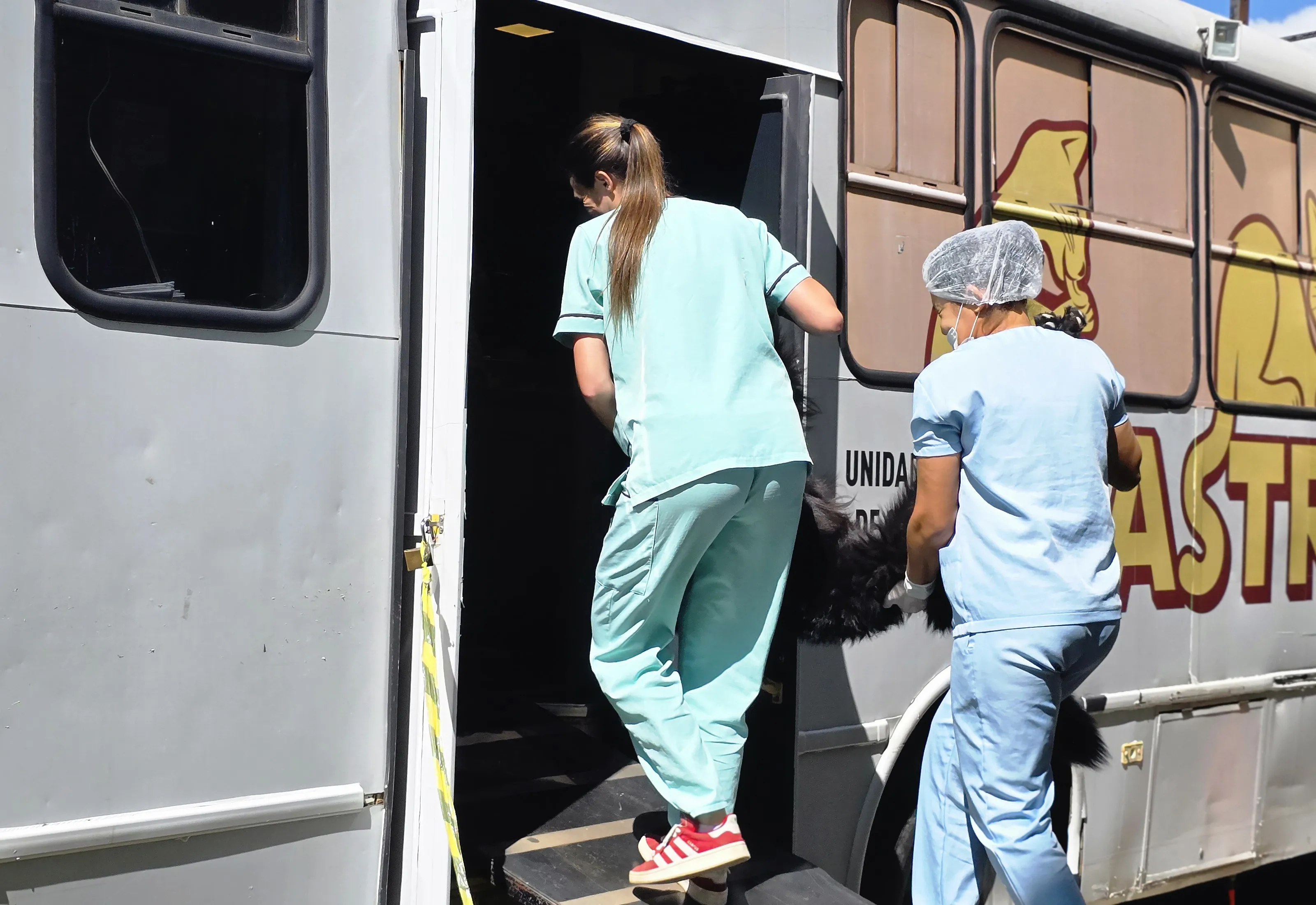 Albertina realiza 201 castrações gratuitas em 2026 e reforça cuidado com bem-estar animal e saúde pública