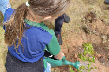 Foto - Plantio de Árvores  (Dia da Árvore | Escola Antonio Ferreira)