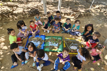 Foto - Novos Materiais Pedagógicos Transformam a Educação em Albertina