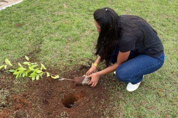 Foto relacionada - Educação Ambiental em Albertina vira ação prática com início do Projeto de Arborização Urbana