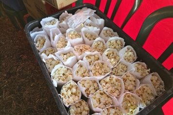 Foto - Crianças da Pré-Escola vivem dia mágico no circo em Jacutinga