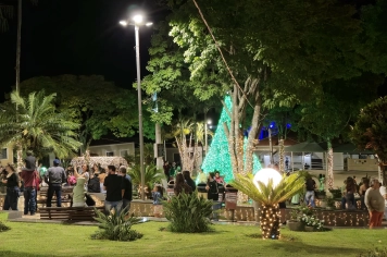 Foto - Decoração de Natal Albertina de Luz 2025