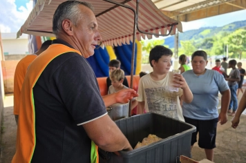 Foto relacionada - Festival de Férias em Albertina reúne dois dias de diversão e encerra a semana com gincana e muita alegria