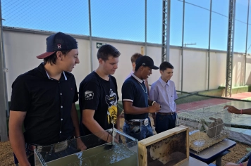 Foto - Feira José Gomes