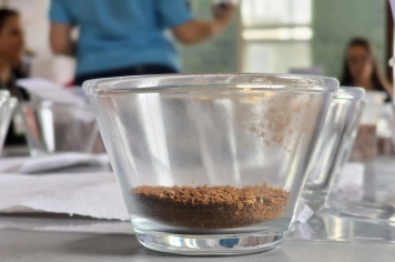 Foto - Encerramento do Curso de Classificação e Degustação de Cafés