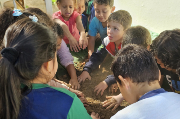 Foto - Plantio de Sementes (Dia da Árvore | Pré-Escola M. Luzia Sanches Diniz)