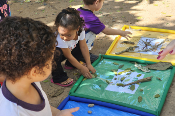 Foto relacionada - Pequenos Exploradores: Aprendizado em Contato com a Natureza