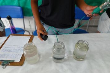 Foto - Feira de Conhecimento: Escola Municipal Antônio Ferreira